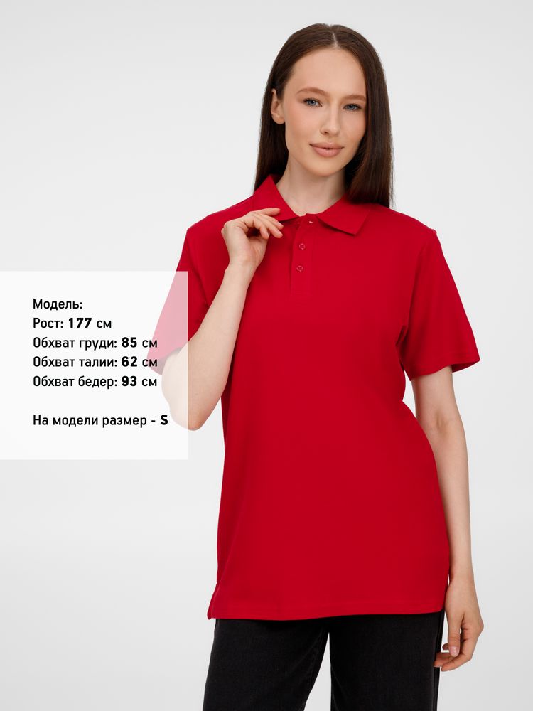 Миниатюра 10