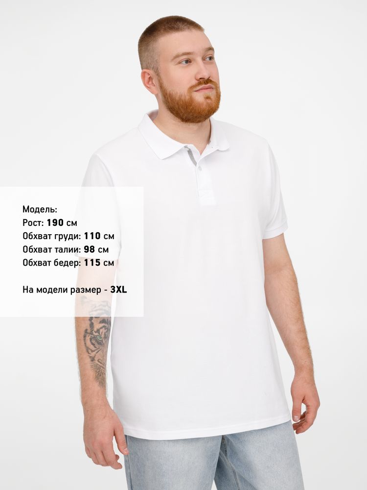 Миниатюра 10