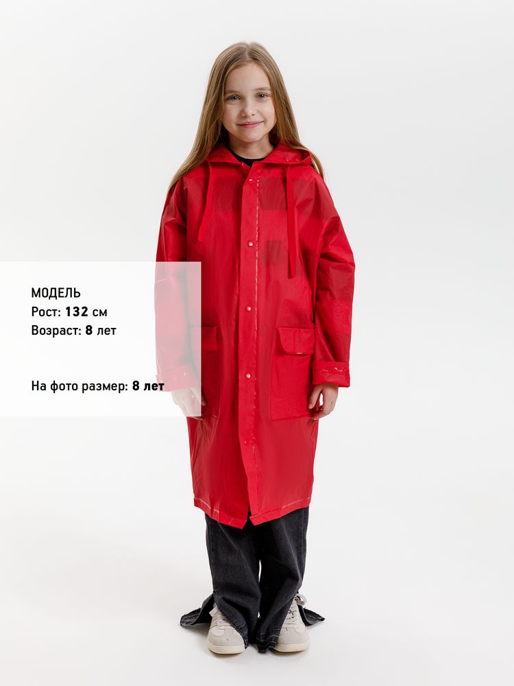 Миниатюра 8