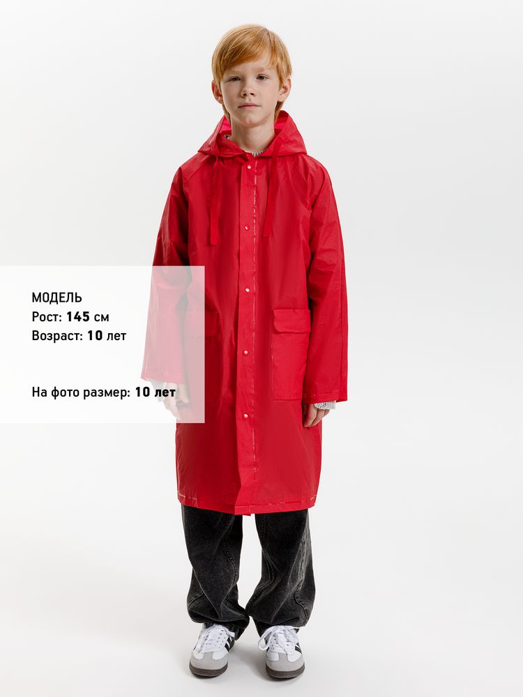 Миниатюра 14