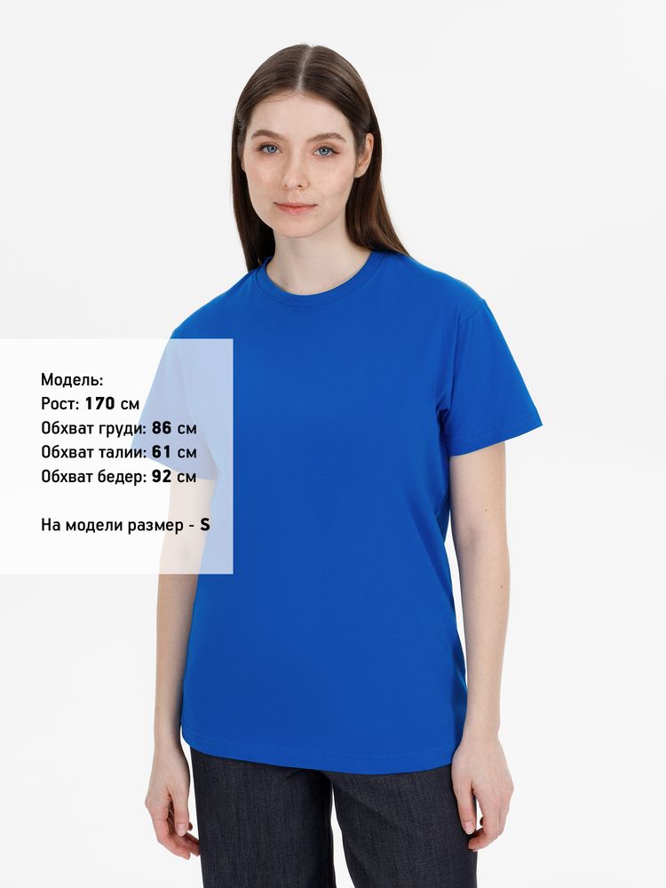 Миниатюра 11