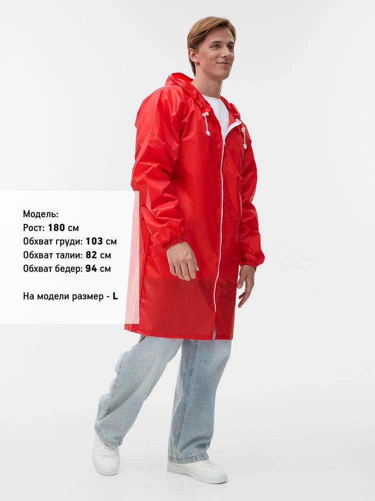 Миниатюра 8