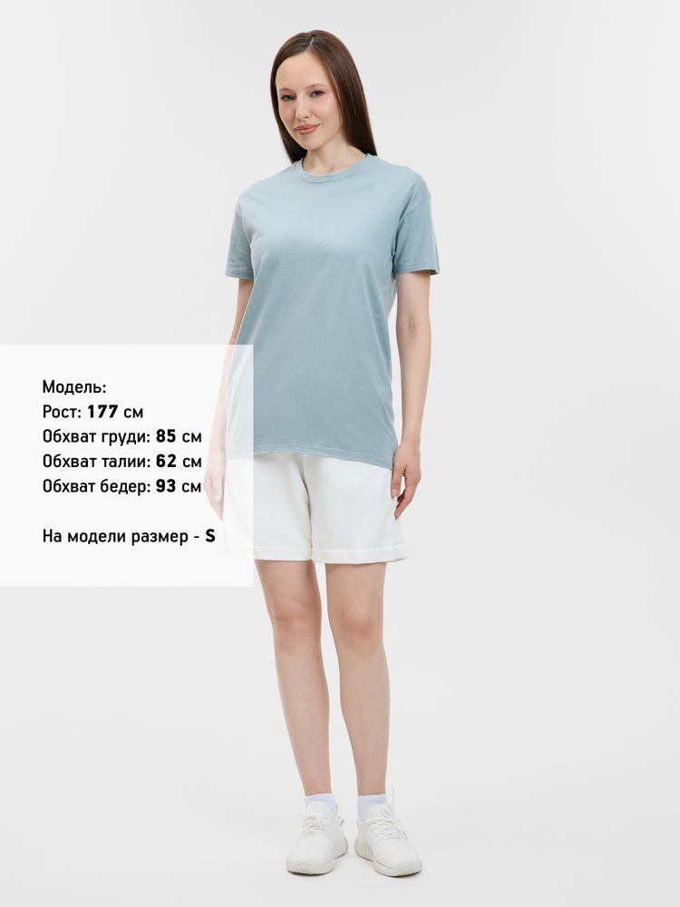 Миниатюра 12