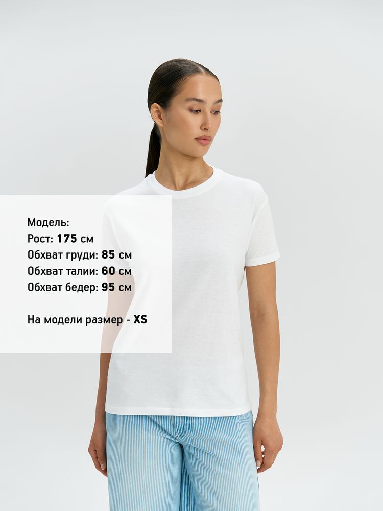 Миниатюра 8