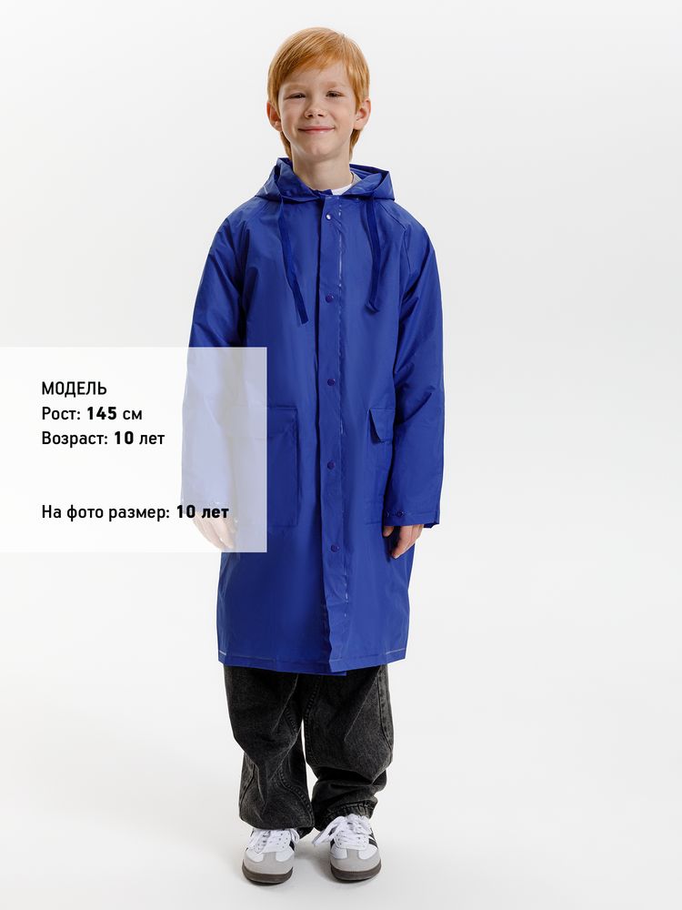 Миниатюра 8