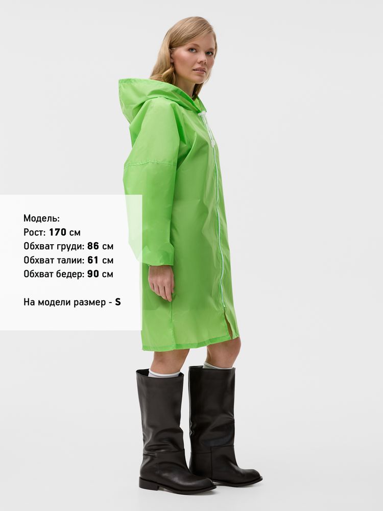 Миниатюра 9