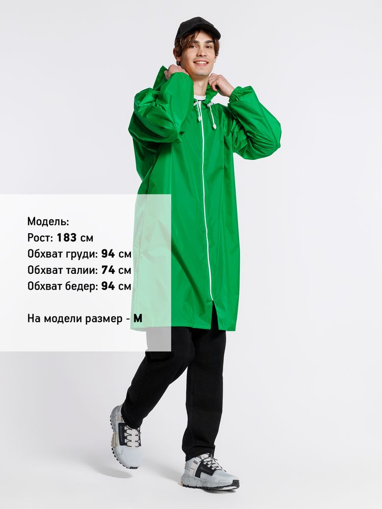 Миниатюра 10