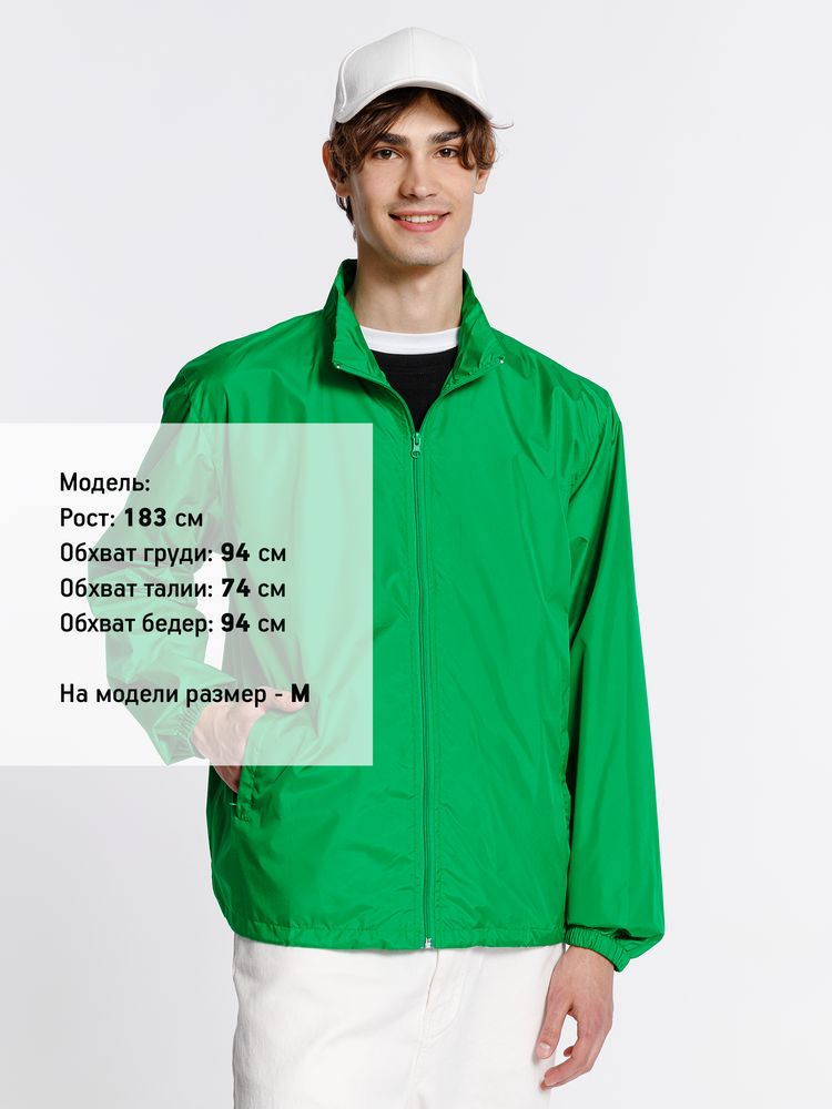 Миниатюра 12