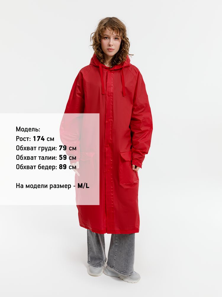 Миниатюра 12