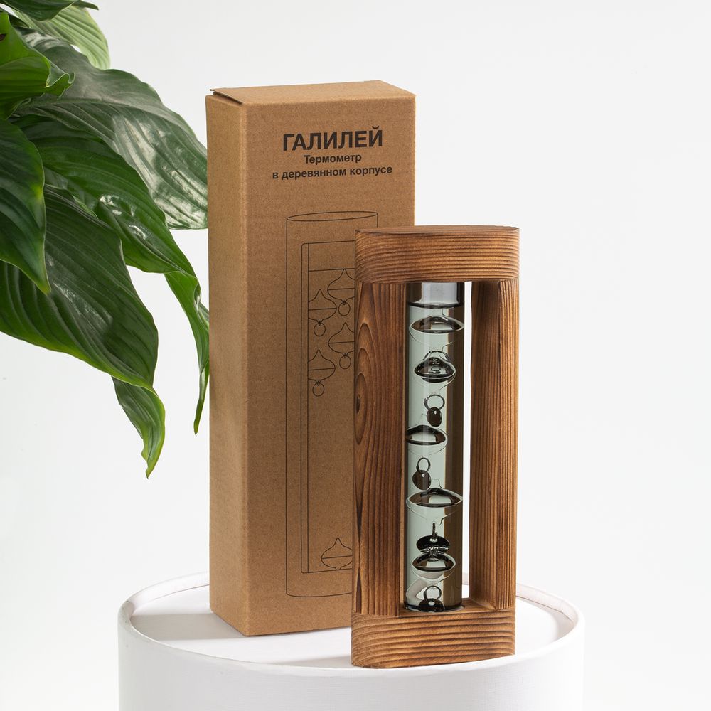 Миниатюра 9