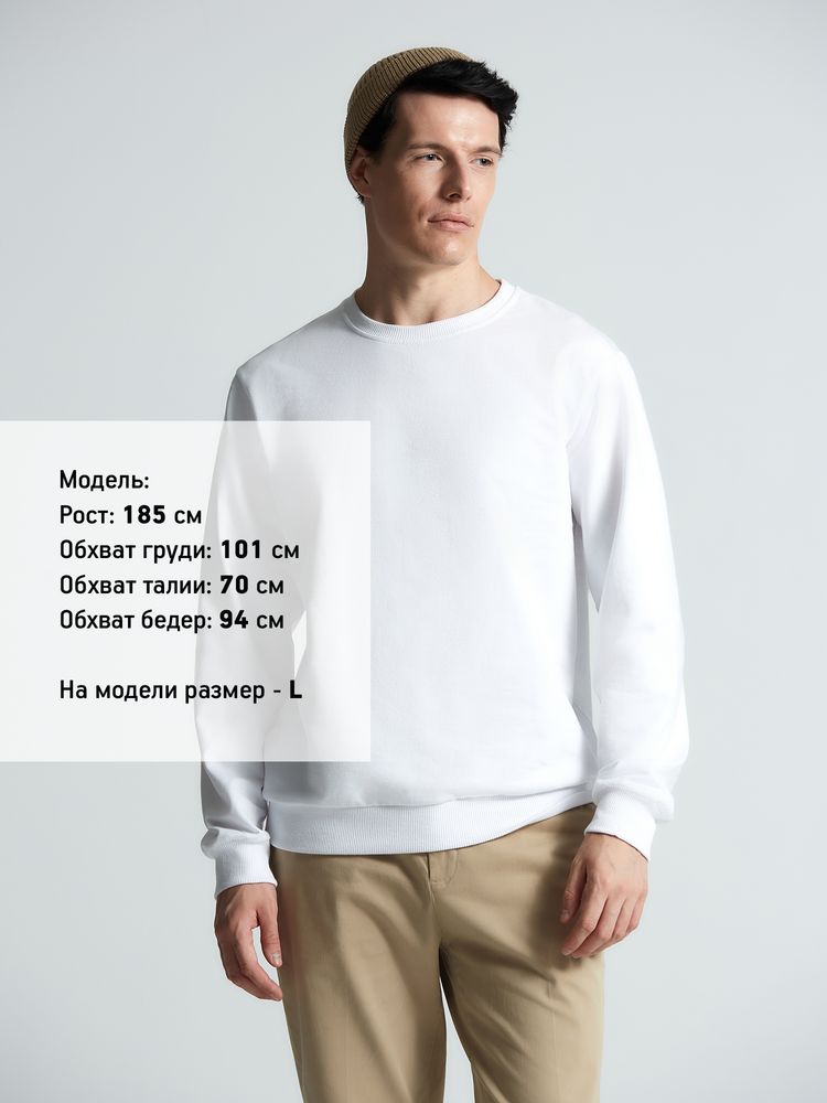 Миниатюра 11