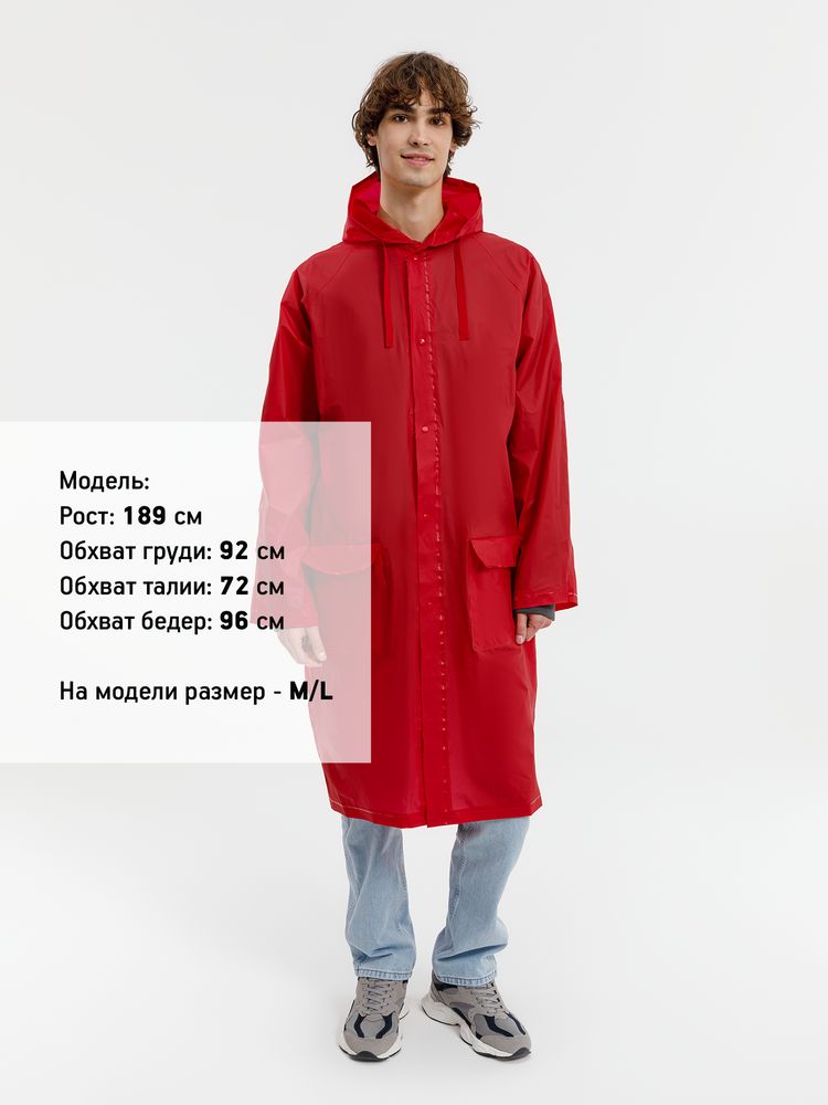 Миниатюра 8