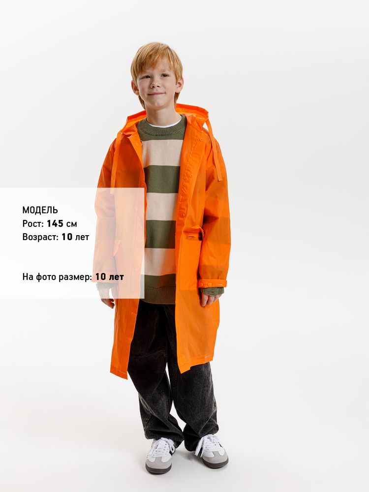 Миниатюра 8