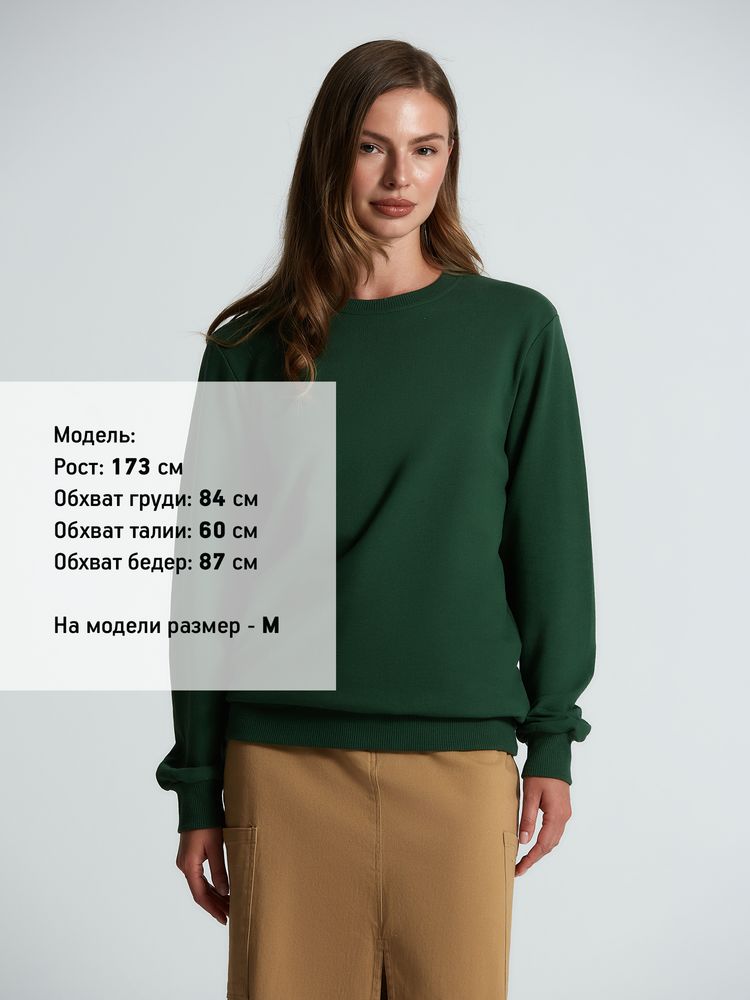 Миниатюра 8