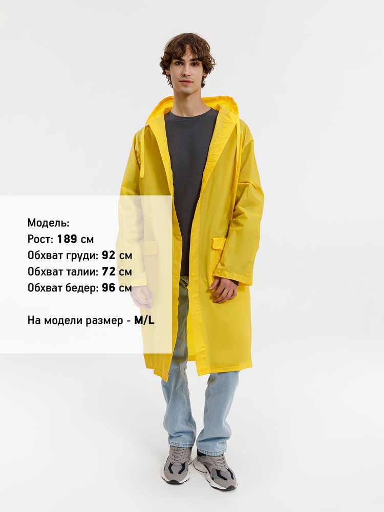 Миниатюра 12