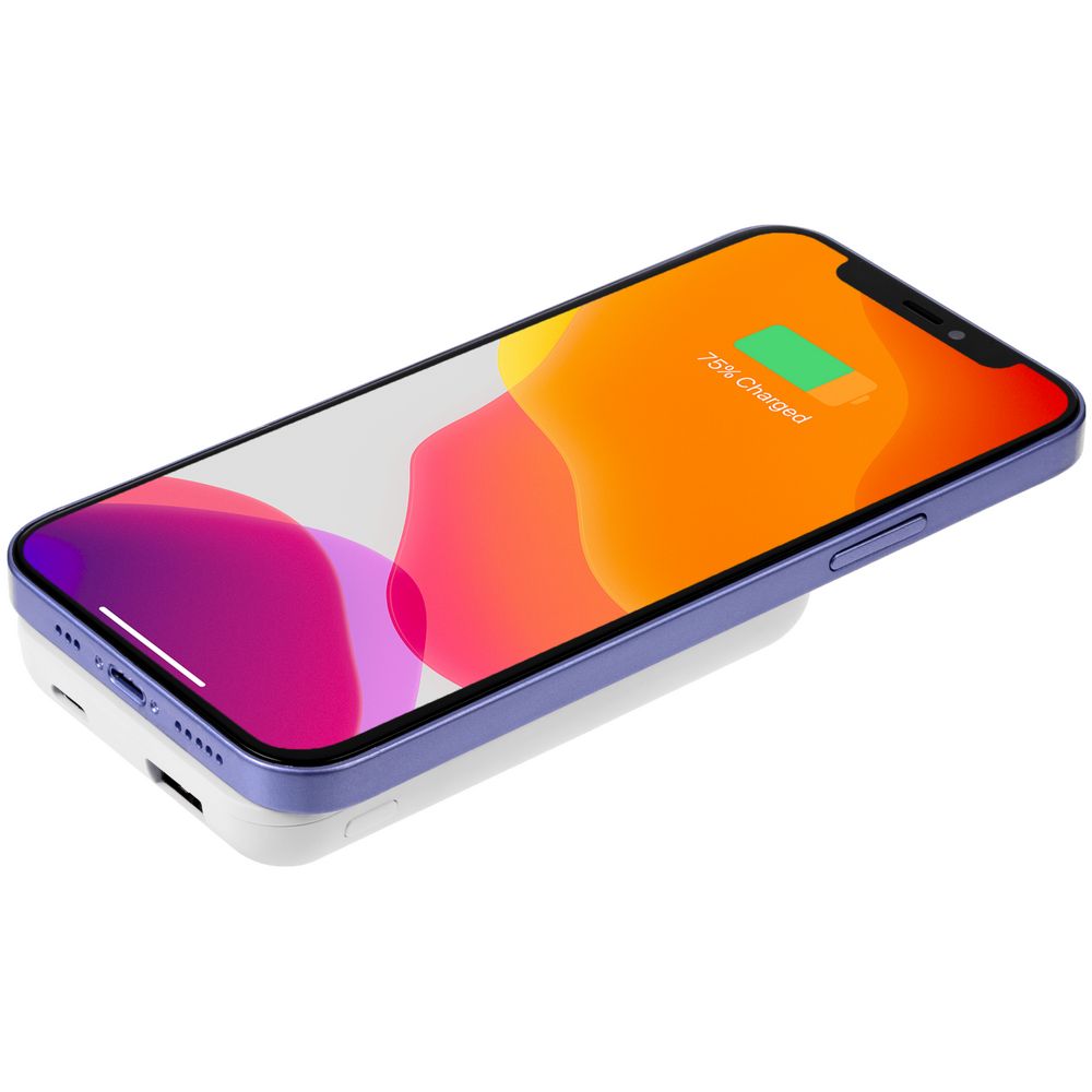 Миниатюра 7