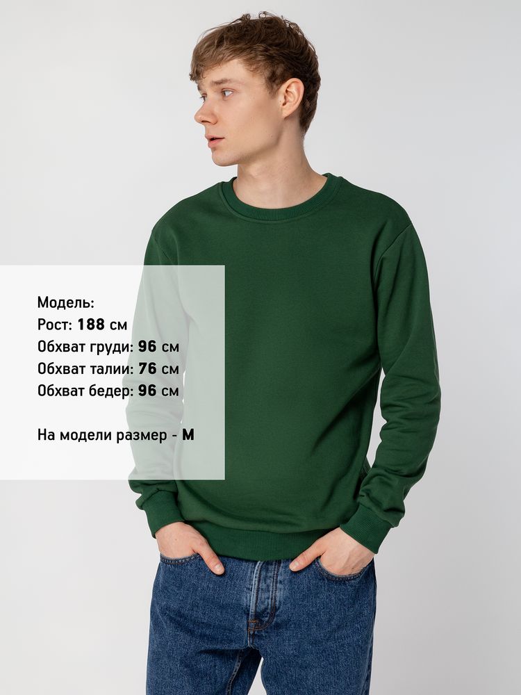 Миниатюра 10