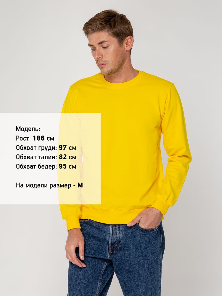 Миниатюра 8