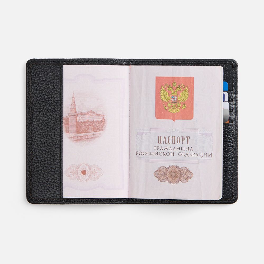 Миниатюра 6