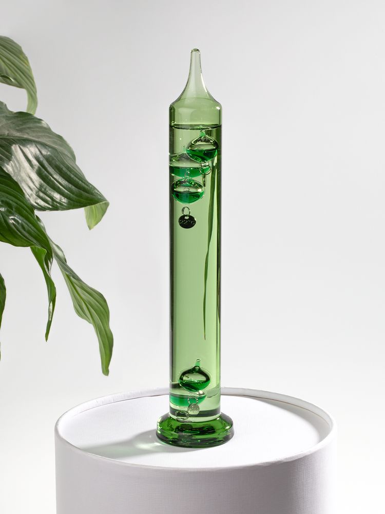 Миниатюра 8
