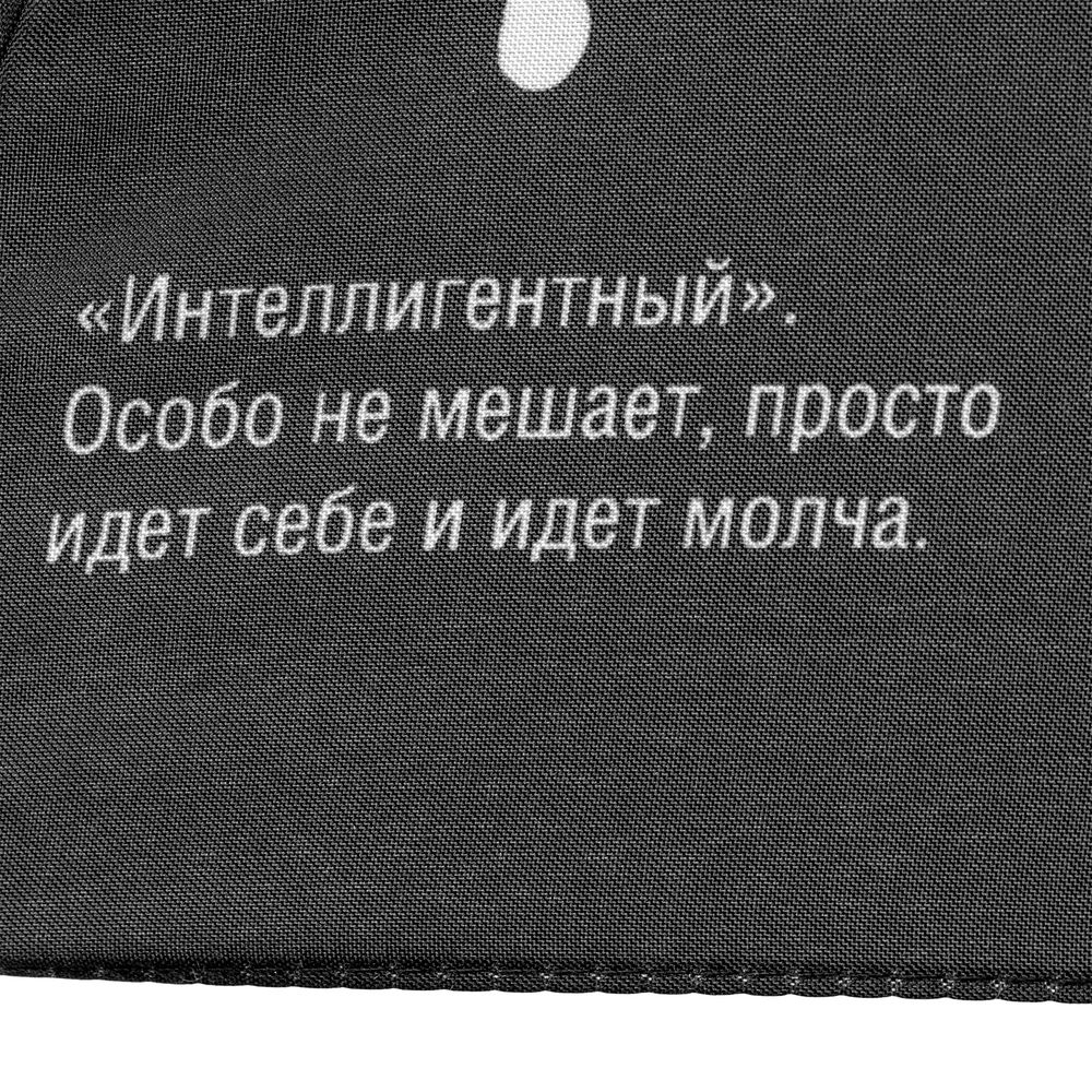 Миниатюра 10
