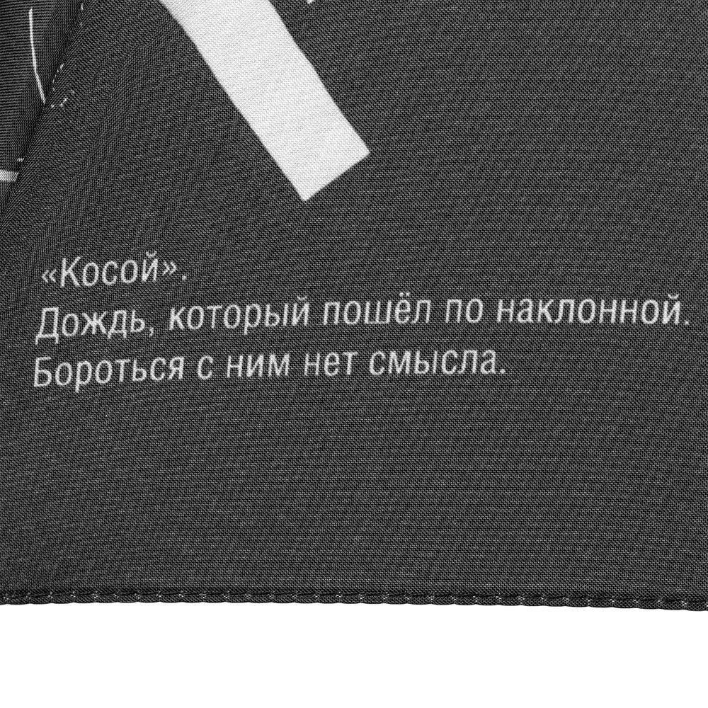 Миниатюра 12