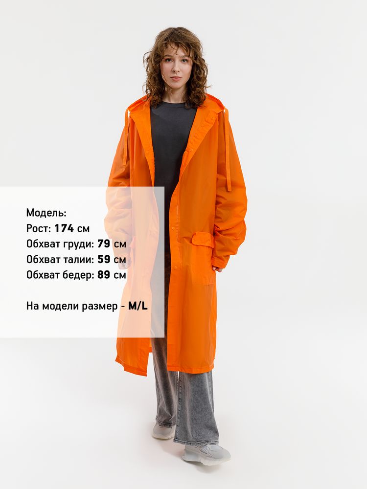 Миниатюра 13
