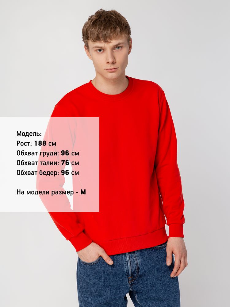 Миниатюра 10