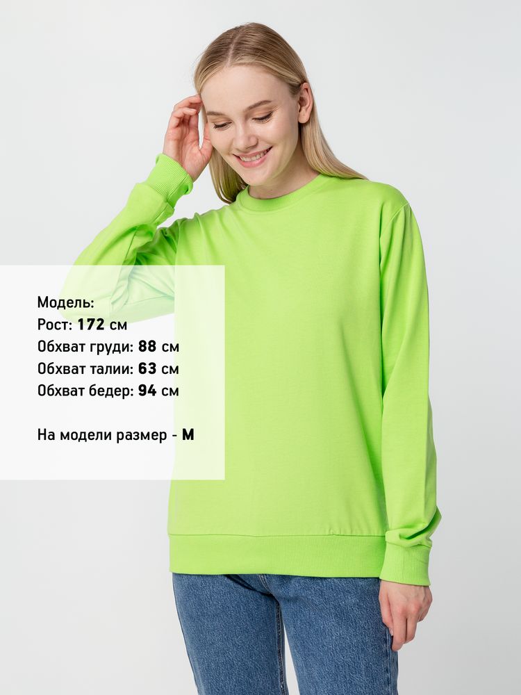 Миниатюра 9