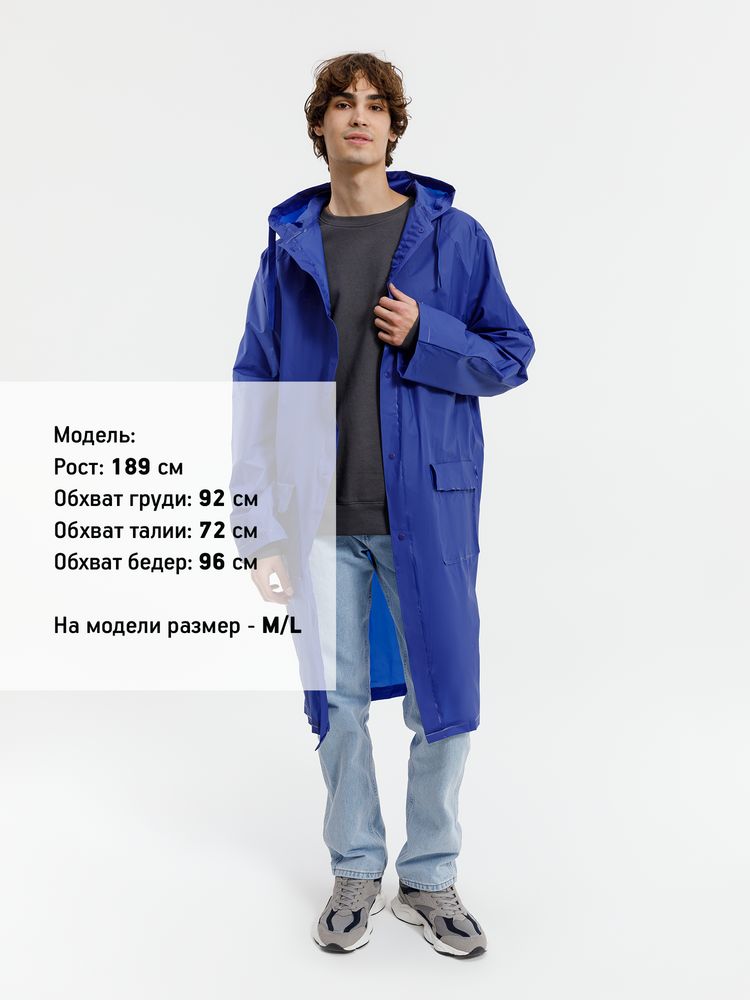 Миниатюра 13