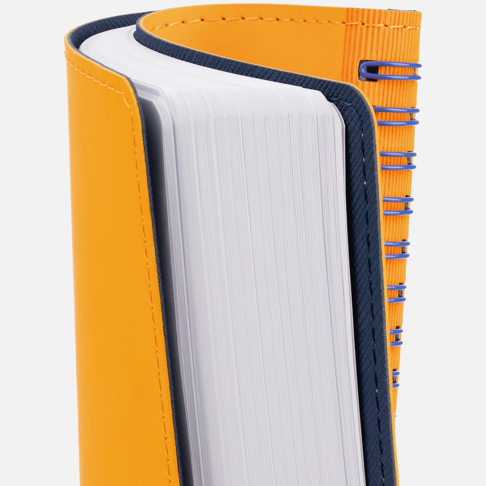 Миниатюра 7