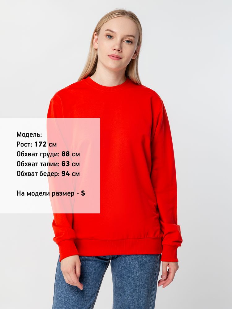 Миниатюра 9