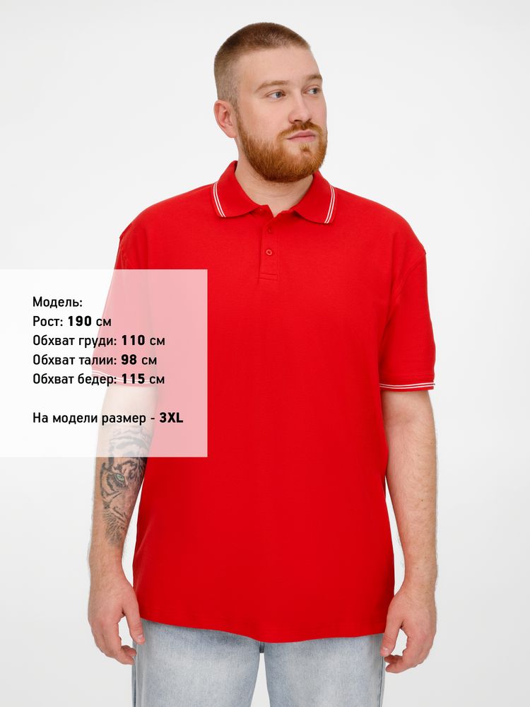 Миниатюра 11