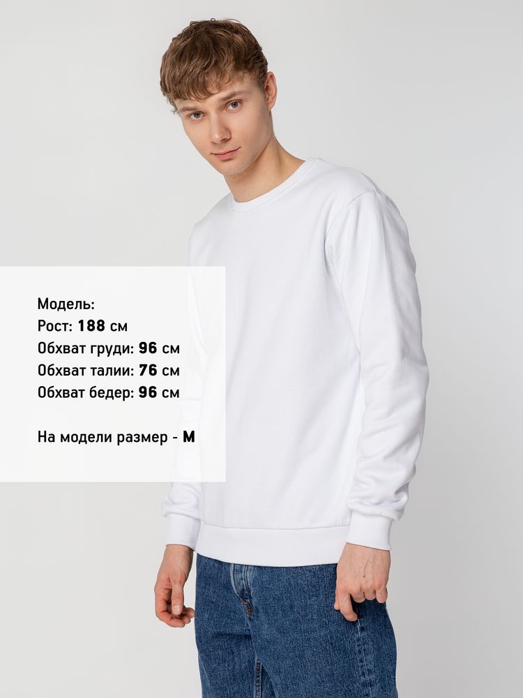 Миниатюра 11